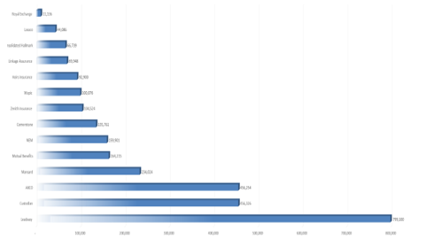 Nigeria’s Largest Insurance Companies