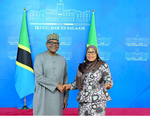 Tanzania, Dangote Group Explore Multi-Billion-Dollar Investments in Infrastructure, Energy, Fertiliser