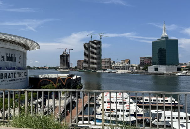 Ovia Real Estate