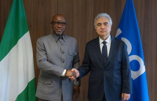 Nigeria IEA
