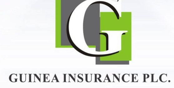 Guinea Insurance Loss Narrows to N142m in Q3