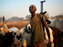 Suspected herders sack 4 council wards, kill 100 people in Benue community