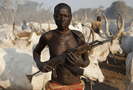 Lagos Proposes 21-Year Jail Term For Armed Herders