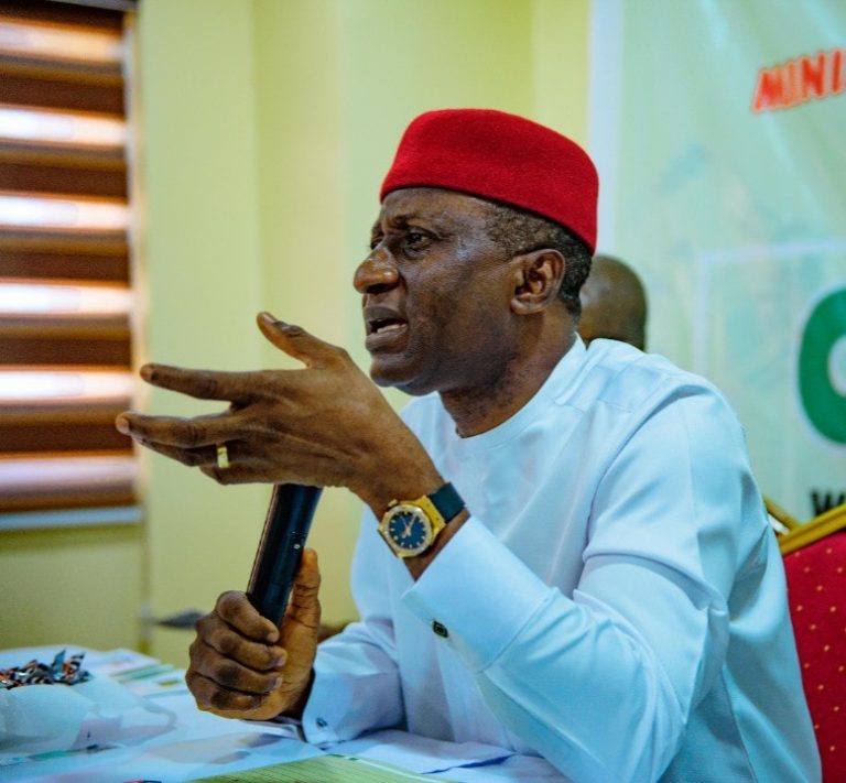 Minister Bemoans Lack Of CBN’s Support For Solid Mineral Sector