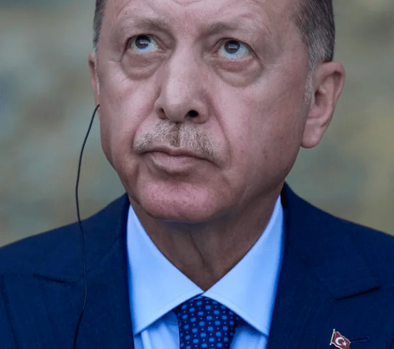 Turkey’s Erdogan Orders Removal of 10 Ambassadors, Including U.S. Envoy