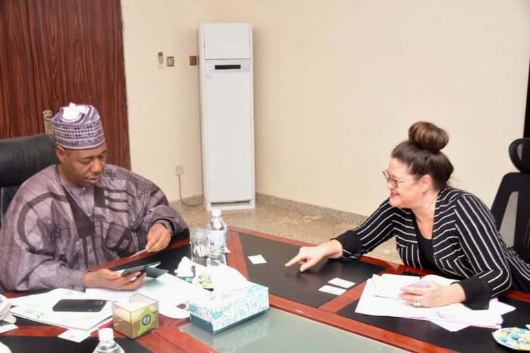 French Ambassador partners Borno on Agriculture, Education