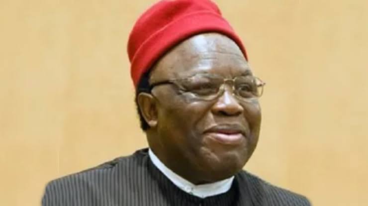 2023: Igbo Well Prepared for Presidency — Ohanaeze President