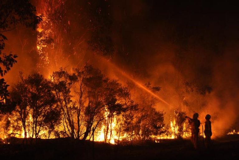 Prepare for major wildfires – UN warns