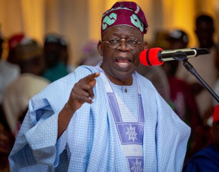 I Have Submitted Name Of My Running Mate To INEC – Tinubu