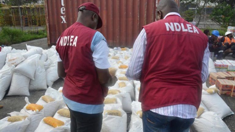 NDLEA intercepts Narcotic Substances In Gombe State